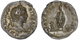 EMPIRE ROMAIN
Caracalla (198-217). Denier 206, Rome.
C.689 - RIC.179 ; Argent - 3,04 g - 18,5 mm - 12 h 
Belle patine. TTB à Superbe.