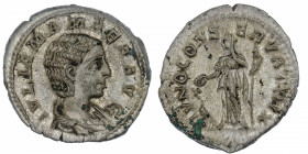EMPIRE ROMAIN
Julia Mamaea (+235). Denier 222, Rome.
C.35 - RIC.343 ; Argent - 3,50 g - 19 mm - 12 h 
Belle patine. Superbe / TTB.