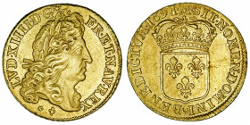 FRANCE / CAPÉTIENS
Louis XIV (1643-1715). Double louis d’or à l’écu, flan neuf 1691, M, Toulouse.
Dy.1434 - G.259 - Fr.428 ; Or - 13,36 g - 28 mm - ...