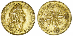 FRANCE / CAPÉTIENS
Louis XIV (1643-1715). Louis d’or aux quatre L 1699, A, Paris.
Dy.1440A - G.252 - Fr.433 ; Or - 6,61 g - 25 mm - 6 h 
TTB.