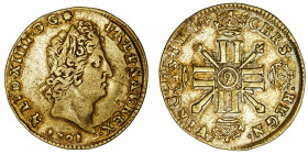 FRANCE / CAPÉTIENS
Louis XIV (1643-1715). Louis d’or aux huit L et aux insignes 1701, 9, Rennes.
Dy.1443A - G.253 - Fr.436 ; Or - 6,51 g - 25 mm - 6...