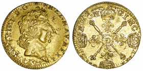 FRANCE / CAPÉTIENS
Louis XIV (1643-1715). Louis d’or aux insignes, réformation 1704, D, Lyon.
Dy.1446A - G.254 - Fr.442 ; Or - 6,65 g - 24 mm - 6 h ...