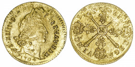 FRANCE / CAPÉTIENS
Louis XIV (1643-1715). Louis d’or aux insignes, fausse réformation 1704, N, Montpellier.
Dy.1446A - G.254 - Fr.442 ; Or - 6,69 g ...