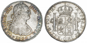 MEXIQUE
Charles IV (1788-1808). 8 réaux 1800 FM, M°, Mexico.
KM.109 ; Argent - 26,85 g - 39 mm - 12 h 
TB à TTB.