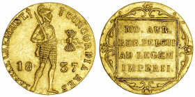 PAYS-BAS
Guillaume I (1815-1840). Ducat 1837, Utrecht.
Fr.331 ; Or - 3,54 g - 20 mm - 12 h 
TTB.