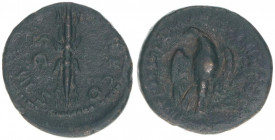 Hadrianus 117-138
Römisches Reich - Kaiserzeit. Semis. P M TR P COS III - SC
Rom
4,29g
Kampmann 32.264
ss