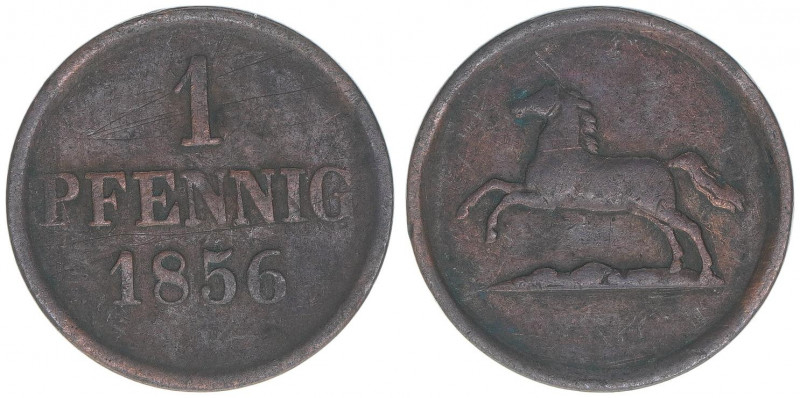 Herzog Wilhelm 1831-1884
Braunschweig. 1 Pfennig, 1856. 2,35g
Schön 94
ss