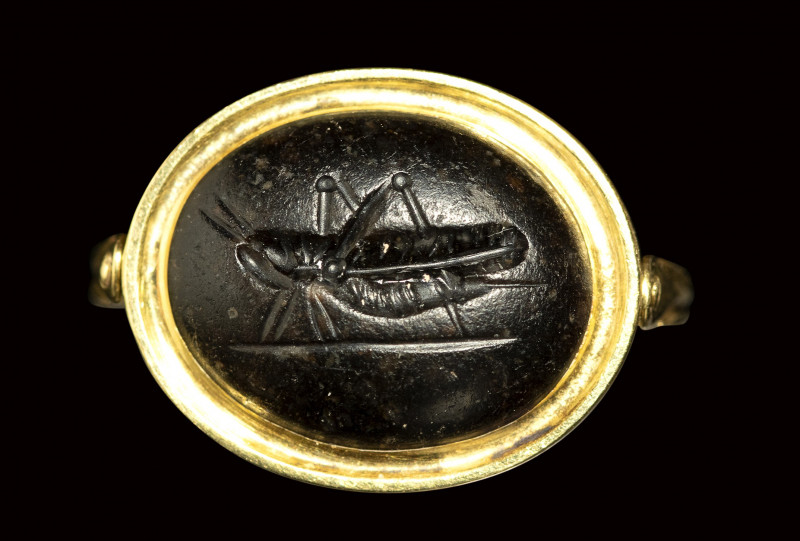 A roman dark agate intaglio set in a gold swivel ring. Grasshopper.

1st centu...