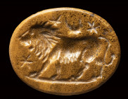 A roman yellow jasper magical intaglio. Lion with moon and stars.