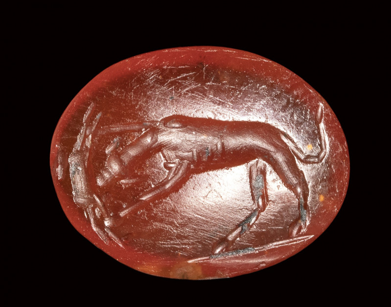A roman carnelian intaglio. Dog with prey.

1st - 2nd century A.D.

9,5 x 12...