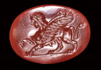 A roman carnelian intaglio. Sphynx.