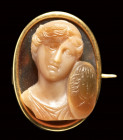 An italian agate cameo set in a gold brooch. Female bust with a Medusa shield.