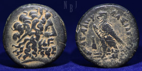 PTOLEMAIC KINGS; Ptolemy VI Philometor Æ Cyprus mint, 32.75gm, 34mm, Good VF