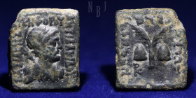 Indo-Greeks: Archebios (ruled c. 75-65 BC) AE coin, 8.34gm, 19mm, VF & RR