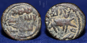 Umayyad Dynasty, anonymous AE Fals, 730-740 AD, Elephant, 2.01gm, 15mm, VF