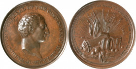 Undated (ca. 1777) Voltaire Medal. Musante GW-1, Baker-78B. Copper. MS-64 BN (PCGS).

40.0 mm. 331.8 grains. An immensely handsome specimen of this ...