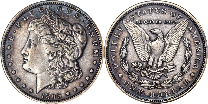 1895 Morgan Silver Dollar. Proof. Genuine (ANACS). OH.

Here is a more than re...