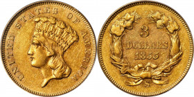 1855-S Three-Dollar Gold Piece. AU-55 (PCGS).

A lustrous specimen, clearly AU (and certified as such), in bright reddish-gold and deeper honey-oran...