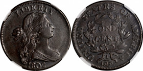 1802 Draped Bust Cent. S-230. Rarity-1. AU-53 BN (NGC).

Handsome golden-brown patina with intermingled olive-copper highlights. Both sides exhibit ...