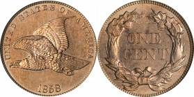 1858 Flying Eagle Cent. Small Letters, High Leaves (Style of 1857), Type I. MS-64 (PCGS). CAC. OGH.

Splendid tan-apricot surfaces also reveal tinge...