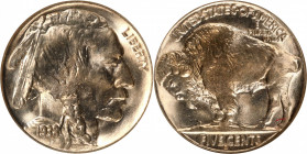 1938-D/S Buffalo Nickel. OMM-2. MS-66 (NGC). CAC. OH.

PCGS# 3985. NGC ID: 22T3.

From the Old Time Buffalo Set.

Estimate: $ 250