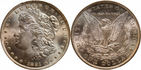 1891-CC Morgan Silver Dollar. VAM-3. Top 100 Variety. Spitting Eagle. MS-65 (PCGS).

Lovely frosty-white surfaces are brilliant and very well preser...