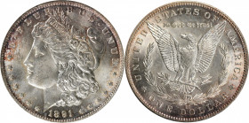 1891-CC Morgan Silver Dollar. VAM-3. Top 100 Variety. Spitting Eagle. MS-64 (ANACS). OH.

A frosty and well struck example that combines splashes of...