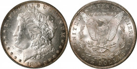 1892-CC Morgan Silver Dollar. MS-63 (PCGS).

Lustrous, frosty surfaces are ringed in delicate golden-apricot peripheral iridescence. Brilliant other...