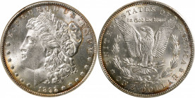 1892 CC Morgan Silver Dollar. MS-63 (NGC). CAC. OH.

Lustrous and frosty surfaces are smooth enough to evoke thoughts of an even higher Choice Mint ...