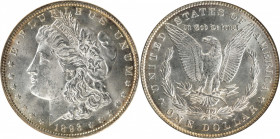 1893 Morgan Silver Dollar. MS-63 (NGC).

Brilliant apart from soft golden rim highlights, this gorgeous example is sharply struck with intense mint ...