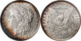 1894 Morgan Silver Dollar. AU-55 (NGC).

Lustrous and sharply defined Choice AU surfaces with crescents of bold peripheral toning in reddish-gold an...