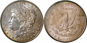 1901 Morgan Silver Dollar. AU-58 (PCGS). CAC.

Thoroughly PQ at the Choice About Uncirculated grade level, this coin is an important alternative to ...