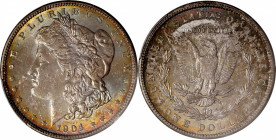 1904 Morgan Silver Dollar. MS-65 (PCGS).

Blended silver-mauve, reddish-gold and olive-copper toning graces both sides with the boldest colors sprin...