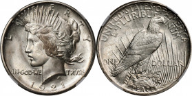 1921 Peace Silver Dollar. High Relief. MS-66 (NGC).

Brilliant, softly frosted surfaces are uncommonly smooth for this perennially popular silver do...