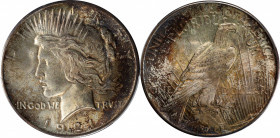 1921 Peace Silver Dollar. High Relief. MS-65 (PCGS).

This richly original example exhibits mottled reddish-russet iridescence to a base of light go...
