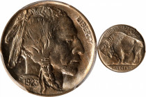 1923 Buffalo Nickel. MS-66 (PCGS).

PCGS# 3949. NGC ID: 22RV.

Estimate: $ 600