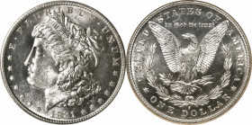 1881-S Morgan Silver Dollar. MS-64 PL (NGC).

PCGS# 7131. NGC ID: 2549.

Estimate: $ 125