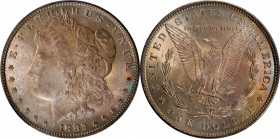 1882 Morgan Silver Dollar. MS-66 (PCGS).

PCGS# 7132. NGC ID: 254A.

Estimate: $ 900