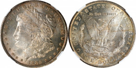 1882-CC Morgan Silver Dollar. MS-66 (NGC).

PCGS# 7134. NGC ID: 254B.

Estimate: $ 600