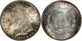 1882-S Morgan Silver Dollar. MS-67 (PCGS). CAC.

PCGS# 7140. NGC ID: 254F.

Estimate: $ 1000