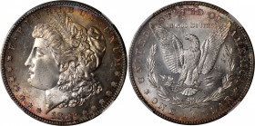 1882-S Morgan Silver Dollar. MS-67 (NGC).

PCGS# 7140. NGC ID: 254F.

Estimate: $ 900