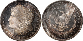 1882-S Morgan Silver Dollar. MS-66 (PCGS).

PCGS# 7140. NGC ID: 254F.

Estimate: $ 300