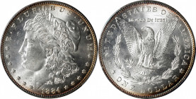 1884 Morgan Silver Dollar. MS-65 (PCGS).

PCGS# 7150. NGC ID: 254L.

Estimate: $ 200