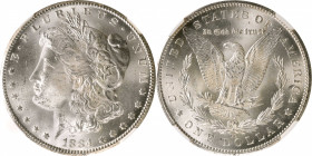 1884-CC Morgan Silver Dollar. MS-64 (NGC).

PCGS# 7152. NGC ID: 254M.

Estimate: $ 300