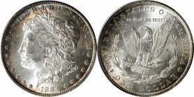 1884-CC Morgan Silver Dollar. MS-62 (PCGS).

PCGS# 7152. NGC ID: 254M.

Estimate: $ 280