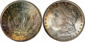 1884-O Morgan Silver Dollar. MS-66 (PCGS). CAC.

PCGS# 7154. NGC ID: 254N.

Estimate: $ 500