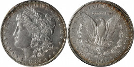 1884-S Morgan Silver Dollar. EF-45 (PCGS).

PCGS# 7156. NGC ID: 254P.

Estimate: $ 120