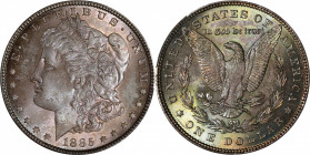 1885 Morgan Silver Dollar. MS-64 (PCGS).

PCGS# 7158. NGC ID: 254R.

From the Mark and Lottie Salton Collection.

Estimate: $ 200