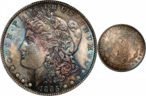 1885 Morgan Silver Dollar. MS-64 (PCGS).

PCGS# 7158. NGC ID: 254R.

From the Mark and Lottie Salton Collection.

Estimate: $ 175