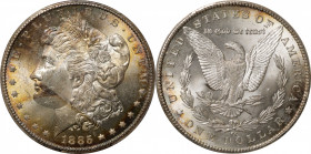 1885-CC Morgan Silver Dollar. MS-64 (PCGS).

PCGS# 7160. NGC ID: 254S.

Estimate: $ 700